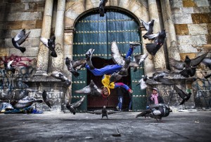 mas-011552-1142-org-high